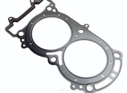 Fugleman