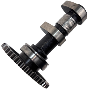 Wałek rozrządu Polaris