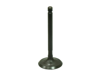 Zawór ssący Yamaha YFM 125 Grizzly/Raptor 2004-2013 AU-09217I