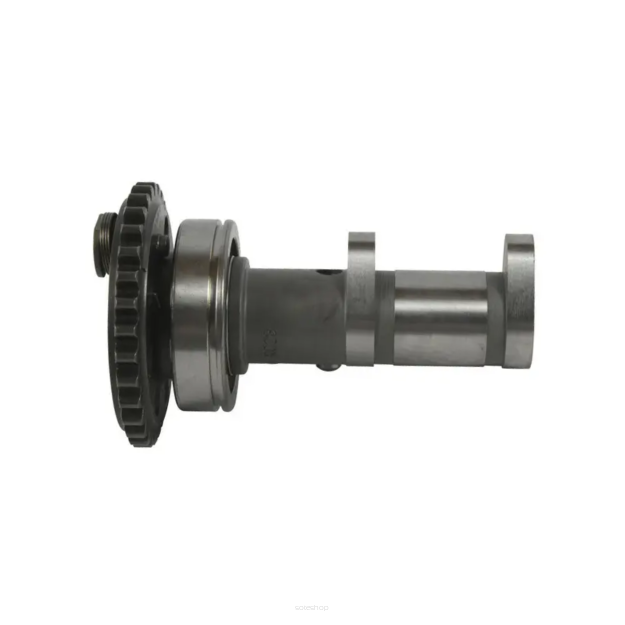 Wałek rozrządu wydechowy Hot Cams Yamaha YFZ 450R Performance HC 4287-1E