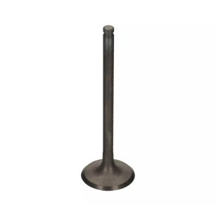 Zawór ssący PROX Yamaha YFM 350 Warrior Raptor 350 OEM 1UY-12111-01