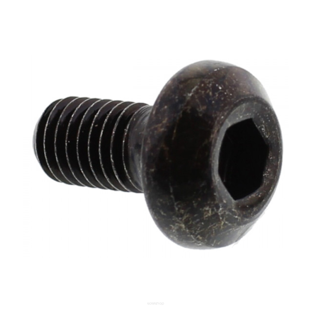 Śruba tarczy hamulcowej M8x1,25 DŁ. 16mm 717.03.59