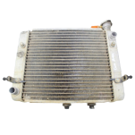 Chłodnica wody Can-Am - 3