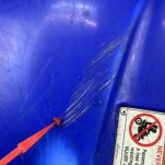 Plastiki błotnik tył Yamaha - 5