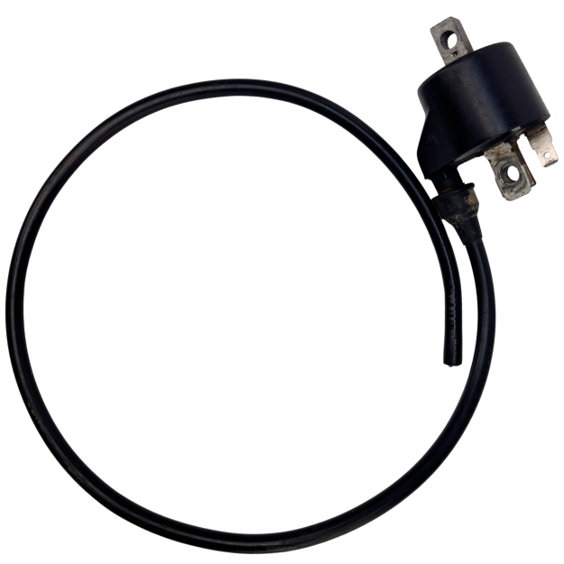 Cewka zapłonowa Polaris