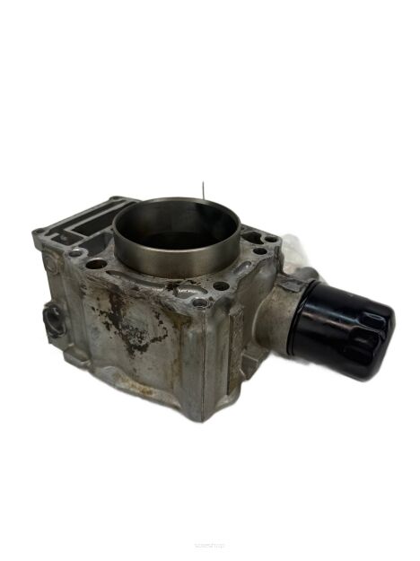 Cylinder z tłokiem Polaris