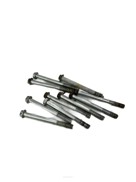 Komplet śrub do karterów Polaris