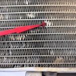 Chłodnica Polaris - 12