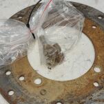 Tylna tarcza hamulcowa Polaris - 4